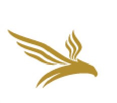 Dubai Insurance