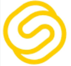 Salama Insurance